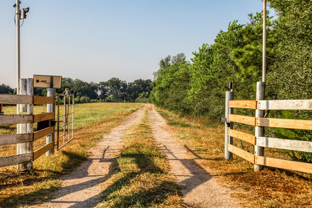 14107 Boudreaux Rd, Tomball, Texas image 8