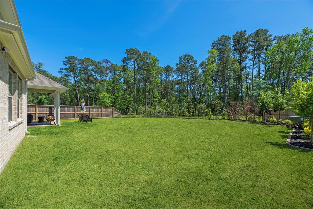 42408 Knoll Kingdom Lane, Magnolia, Texas image 28