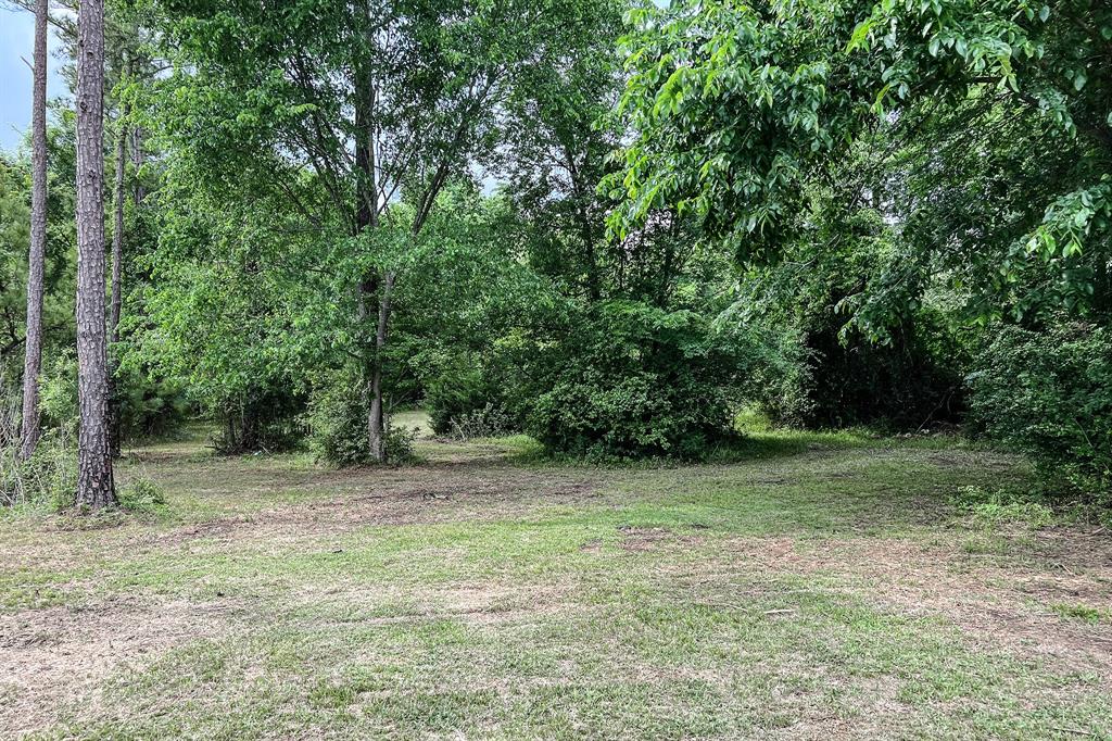352 Arizona Lane, Huntsville, Texas image 9