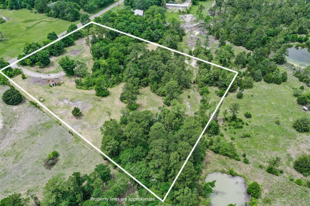 352 Arizona Lane, Huntsville, Texas image 12