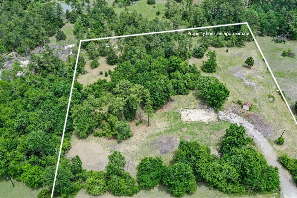 352 Arizona Lane, Huntsville, Texas image 3