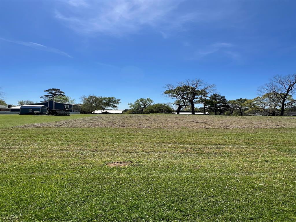 TBD Liendo Drive, Trinity, Texas image 13