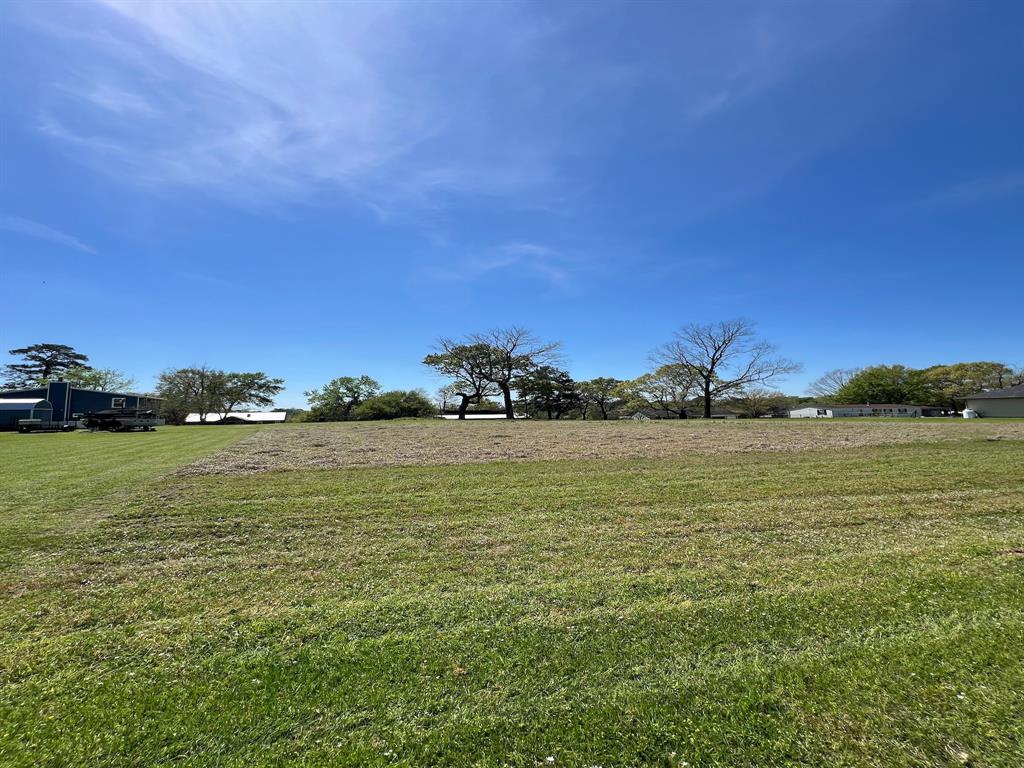 TBD Liendo Drive, Trinity, Texas image 11