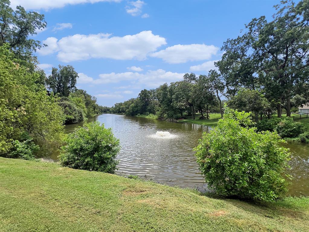 30610 Lower Oxbow Trace Trce, Fulshear, Texas image 11