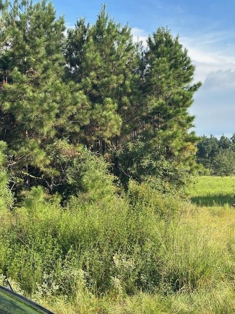 642 County Road 5015, Cleveland, Texas image 7