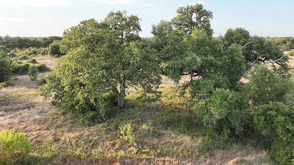 TBD Andreas Road, Round Top, Texas image 6