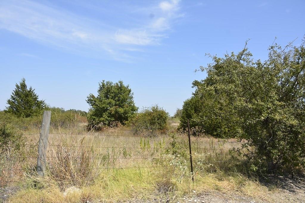 TBD Andreas Road, Round Top, Texas image 8