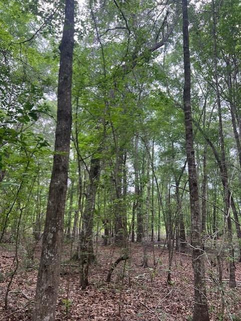 TBD Hooks Rd, Livingston, Texas image 8