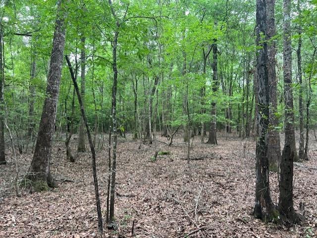 TBD Hooks Rd, Livingston, Texas image 4