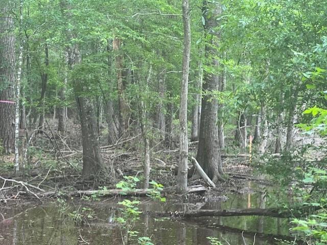 TBD Hooks Rd, Livingston, Texas image 3