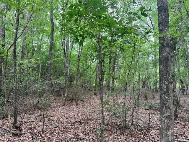 TBD Hooks Rd, Livingston, Texas image 7