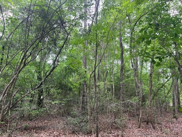 TBD Hooks Rd, Livingston, Texas image 6