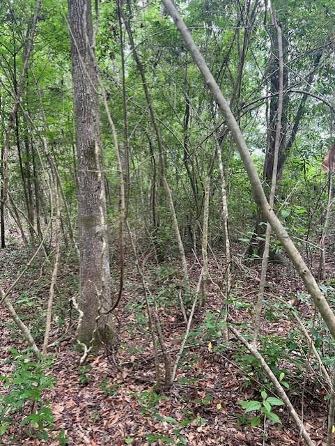 TBD Hooks Rd, Livingston, Texas image 10