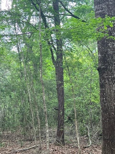 TBD Hooks Rd, Livingston, Texas image 9