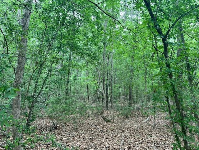 TBD Hooks Rd, Livingston, Texas image 1