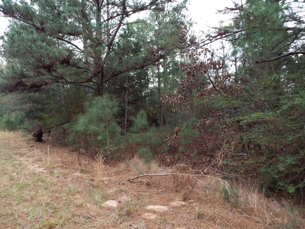 Lot 5 Jackrabbit Drive, Hempstead, Texas image 2