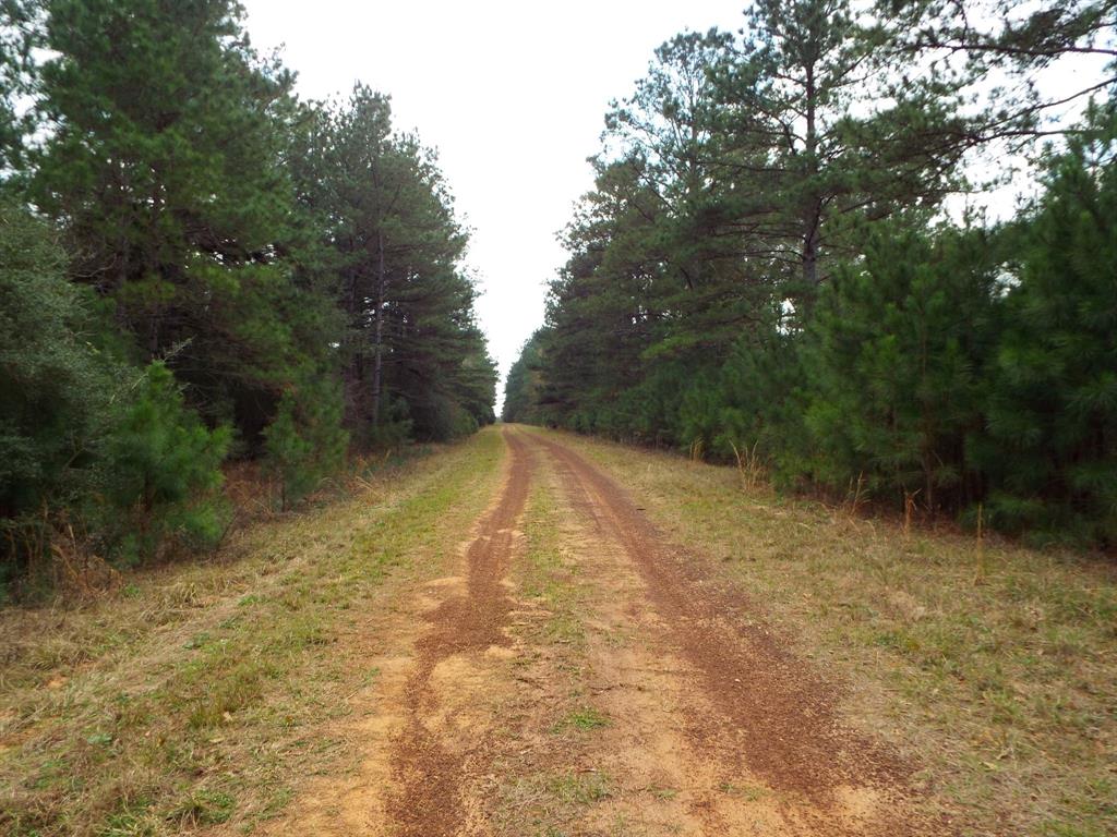 Lot 5 Jackrabbit Drive, Hempstead, Texas image 32