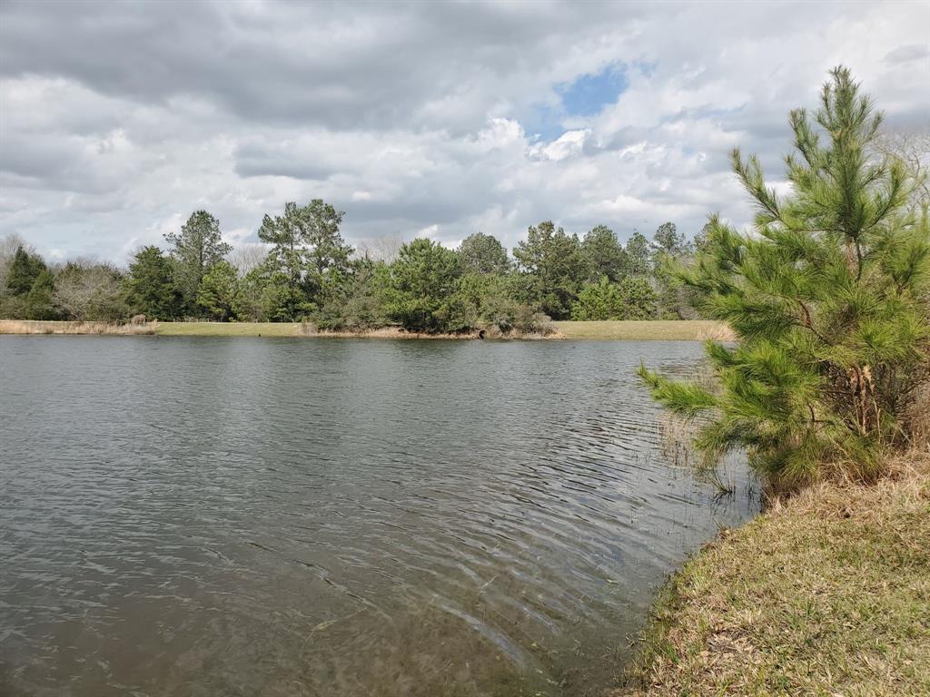 Lot 5 Jackrabbit Drive, Hempstead, Texas image 11