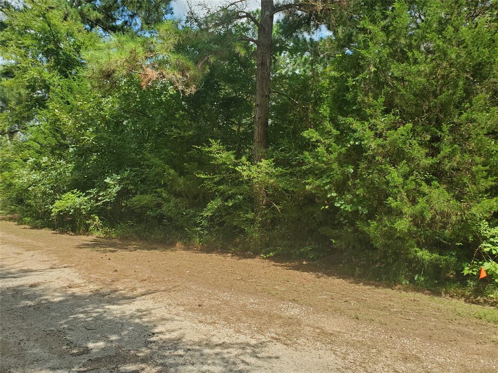 Lot 5 Jackrabbit Drive, Hempstead, Texas image 21