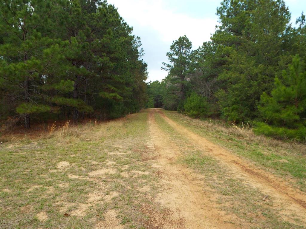 Lot 5 Jackrabbit Drive, Hempstead, Texas image 33