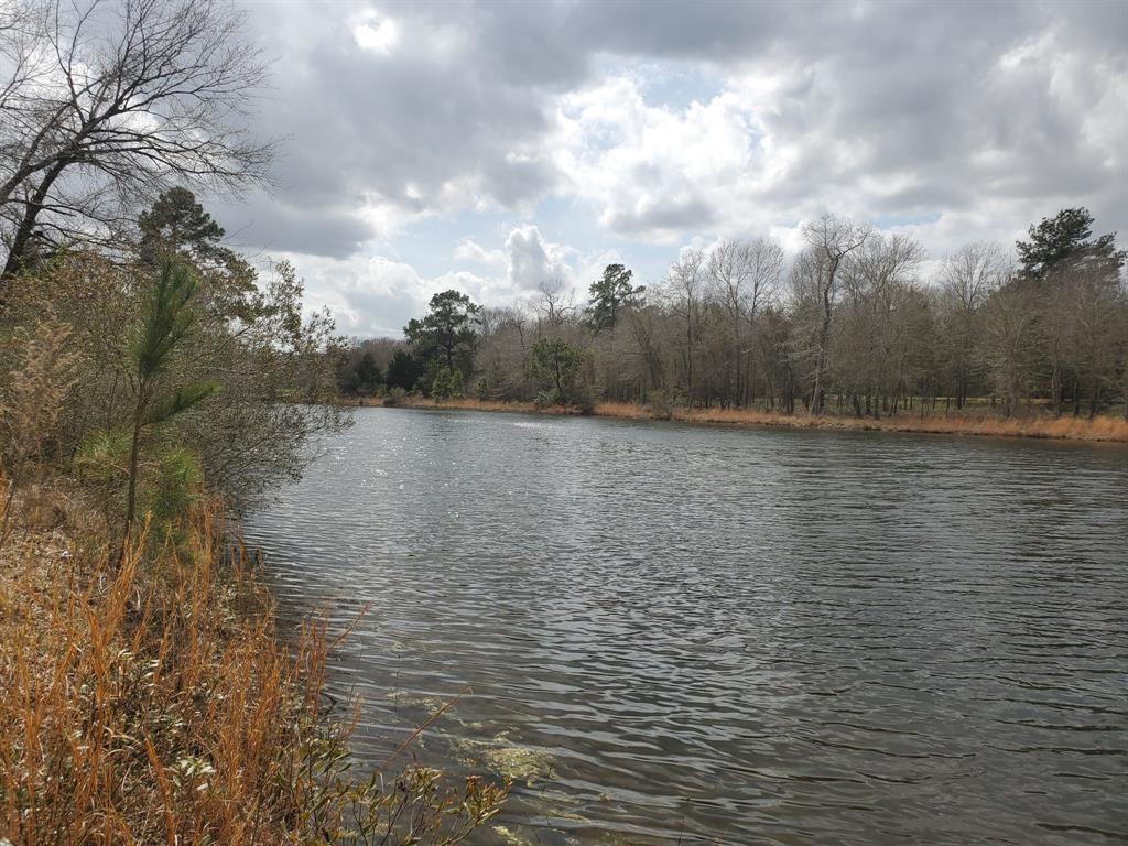 Lot 5 Jackrabbit Drive, Hempstead, Texas image 12