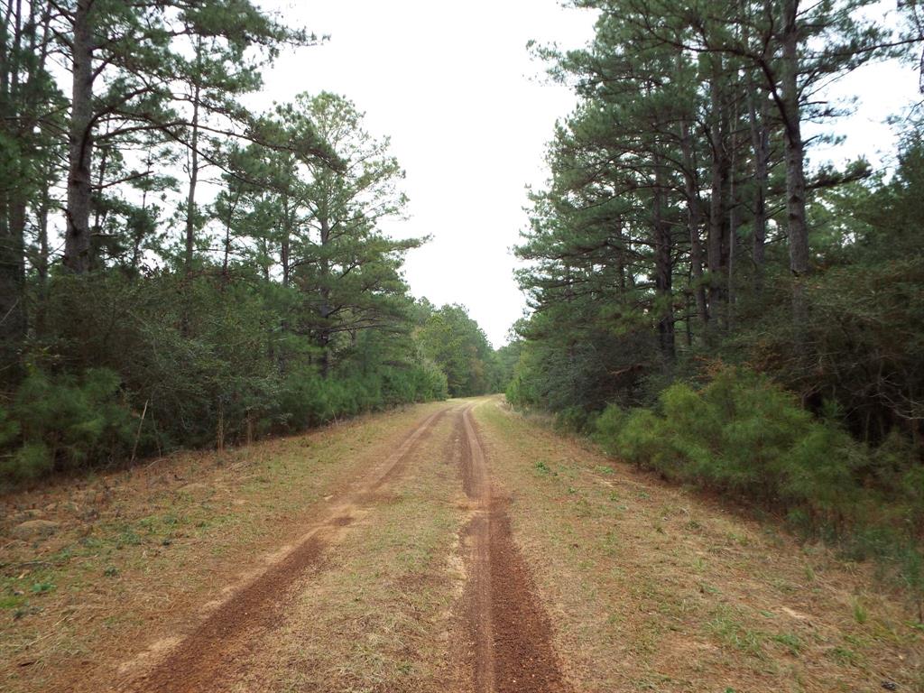 Lot 5 Jackrabbit Drive, Hempstead, Texas image 1