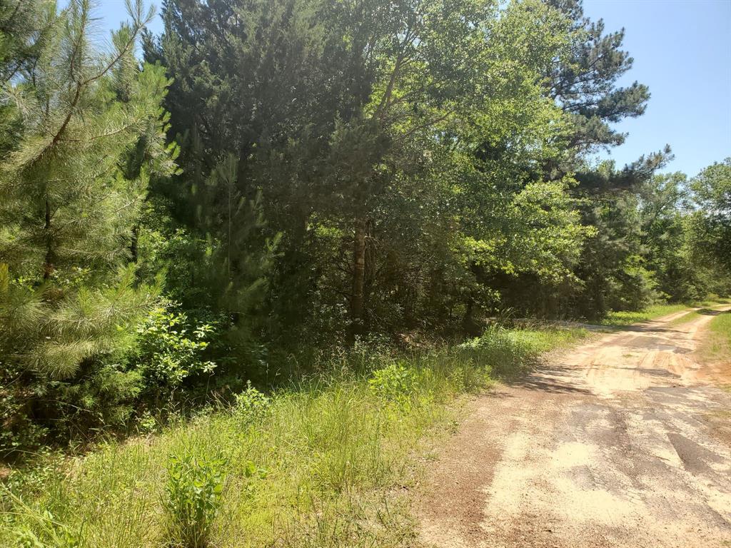 Lot 5 Jackrabbit Drive, Hempstead, Texas image 16