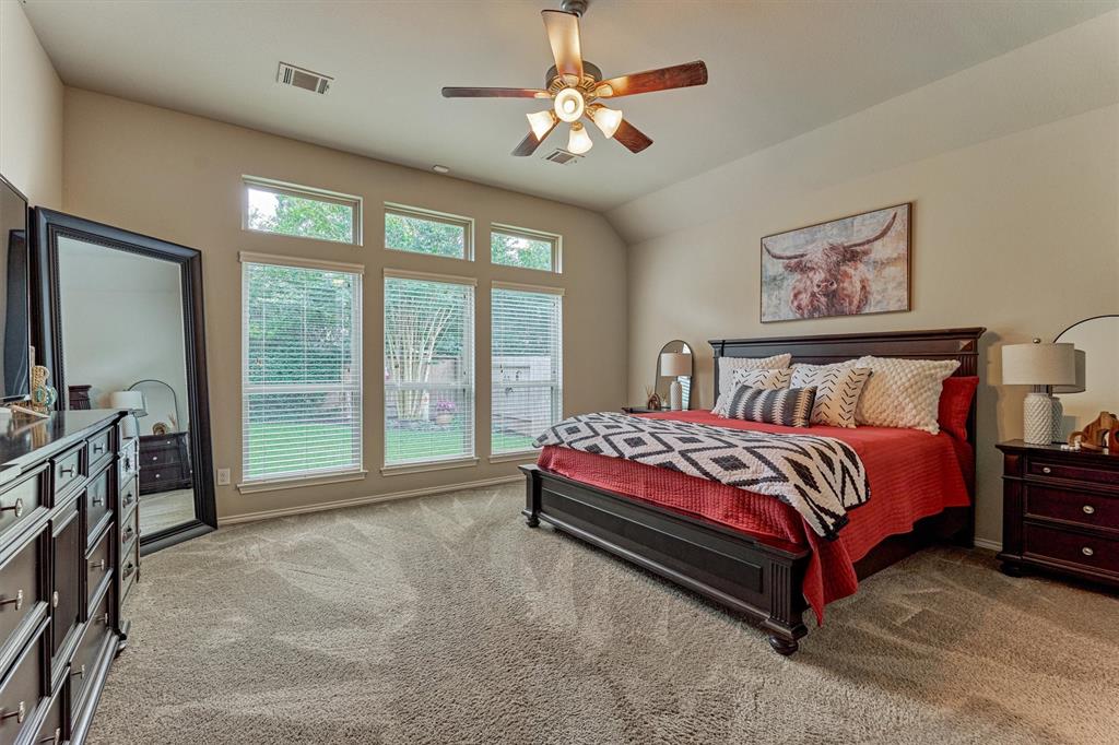 110 Mayhaven Court, Montgomery, Texas image 19