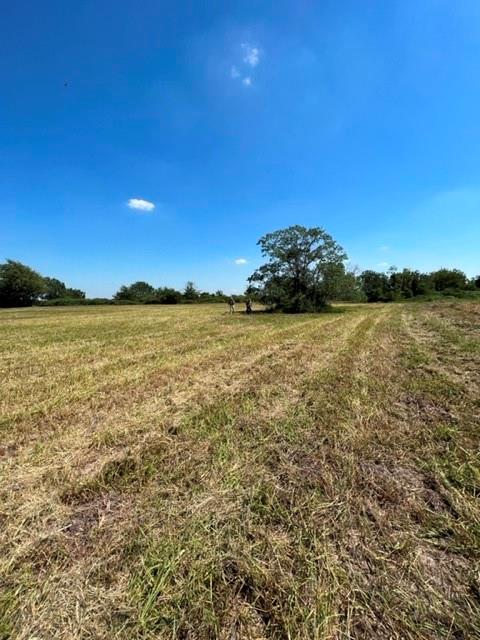 0002 Fm 3013, Eagle Lake, Texas image 3