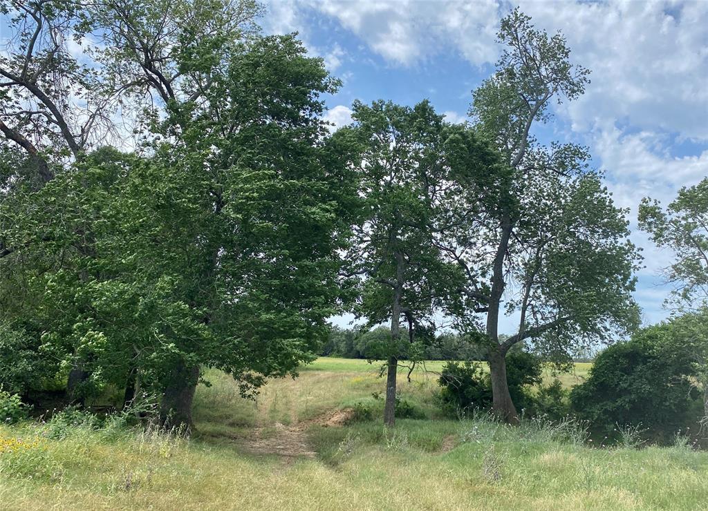 469 Friendship Cemetery Road, Paige, Texas image 20