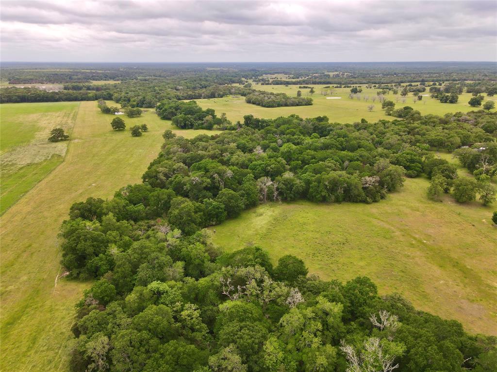 469 Friendship Cemetery Road, Paige, Texas image 4