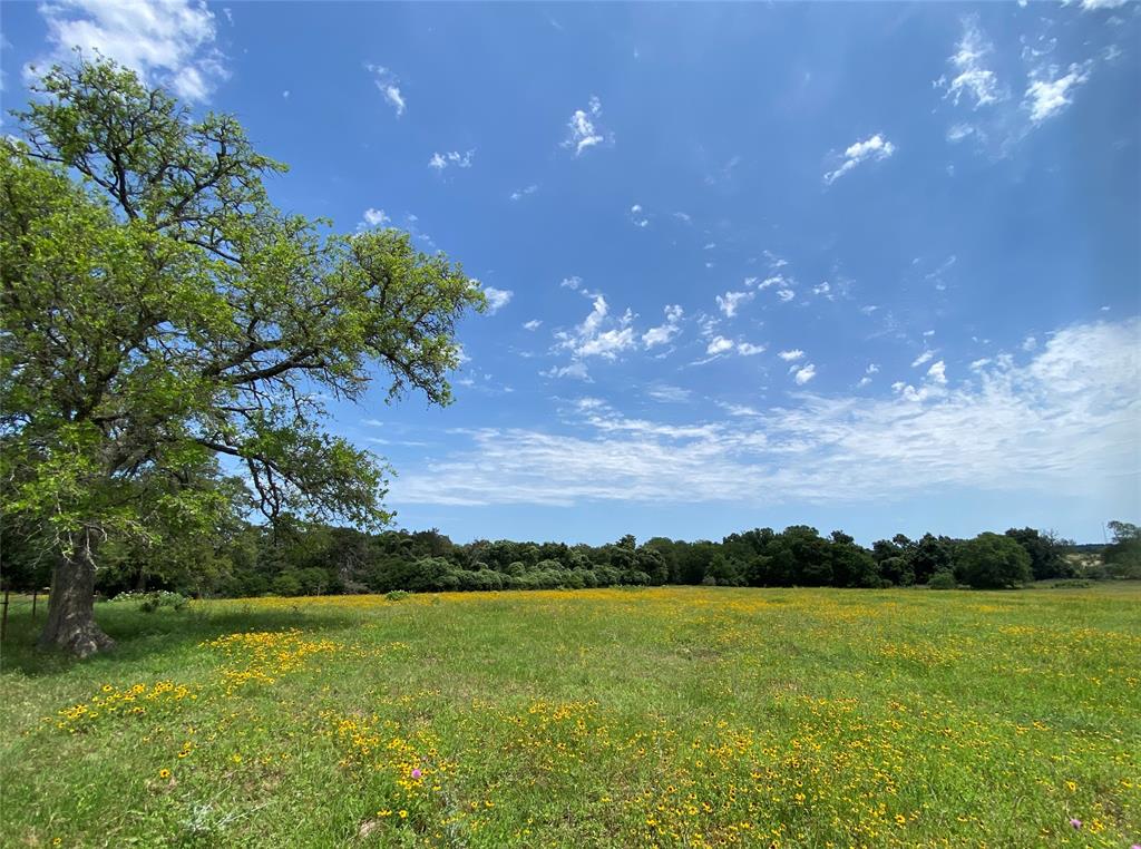 469 Friendship Cemetery Road, Paige, Texas image 13