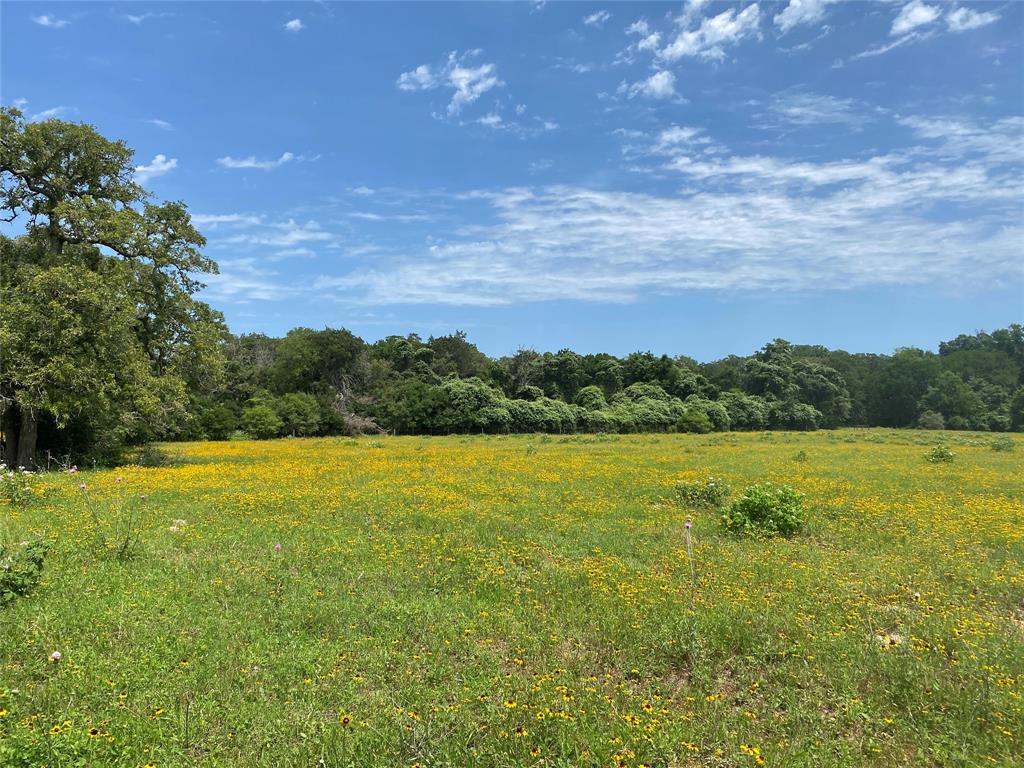 469 Friendship Cemetery Road, Paige, Texas image 17