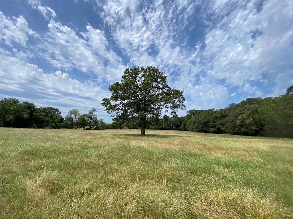 469 Friendship Cemetery Road, Paige, Texas image 11