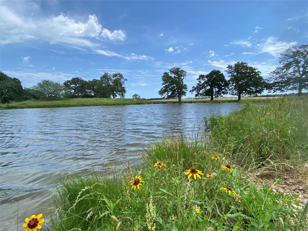 469 Friendship Cemetery Road, Paige, Texas image 16