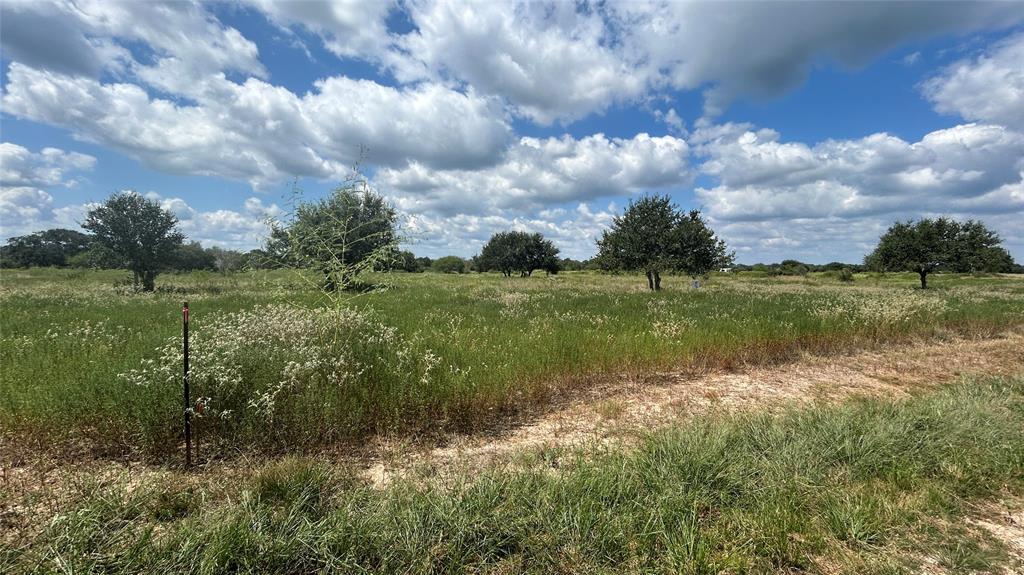 4774 Teal Lane, Columbus, Texas image 4