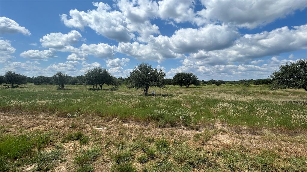 4774 Teal Lane, Columbus, Texas image 3