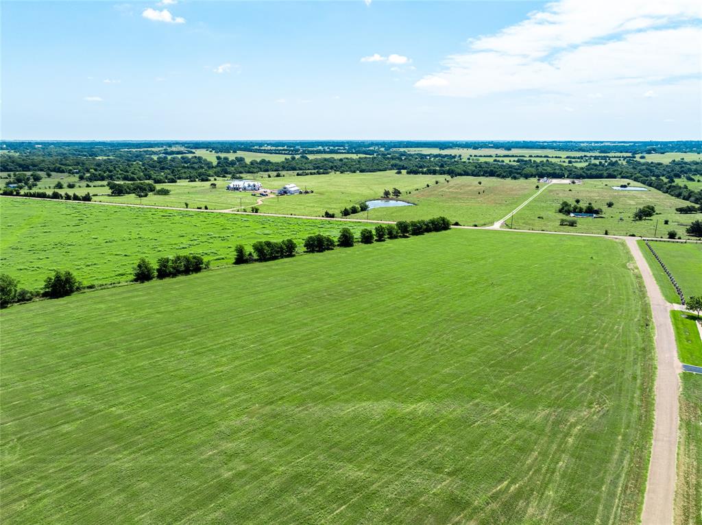 TBD Blossom Hill Road, Round Top, Texas image 8