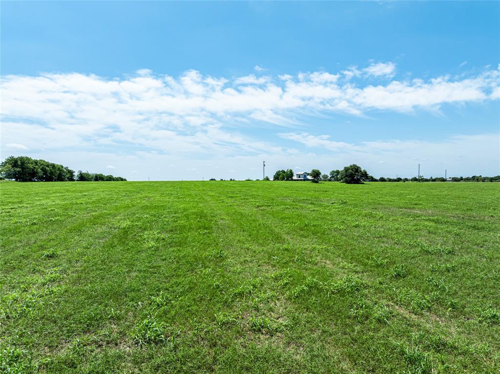 TBD Blossom Hill Road, Round Top, Texas image 5