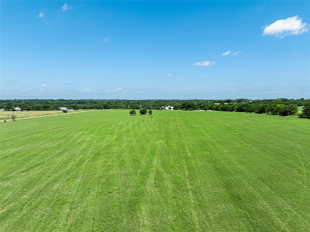 TBD Blossom Hill Road, Round Top, Texas image 13