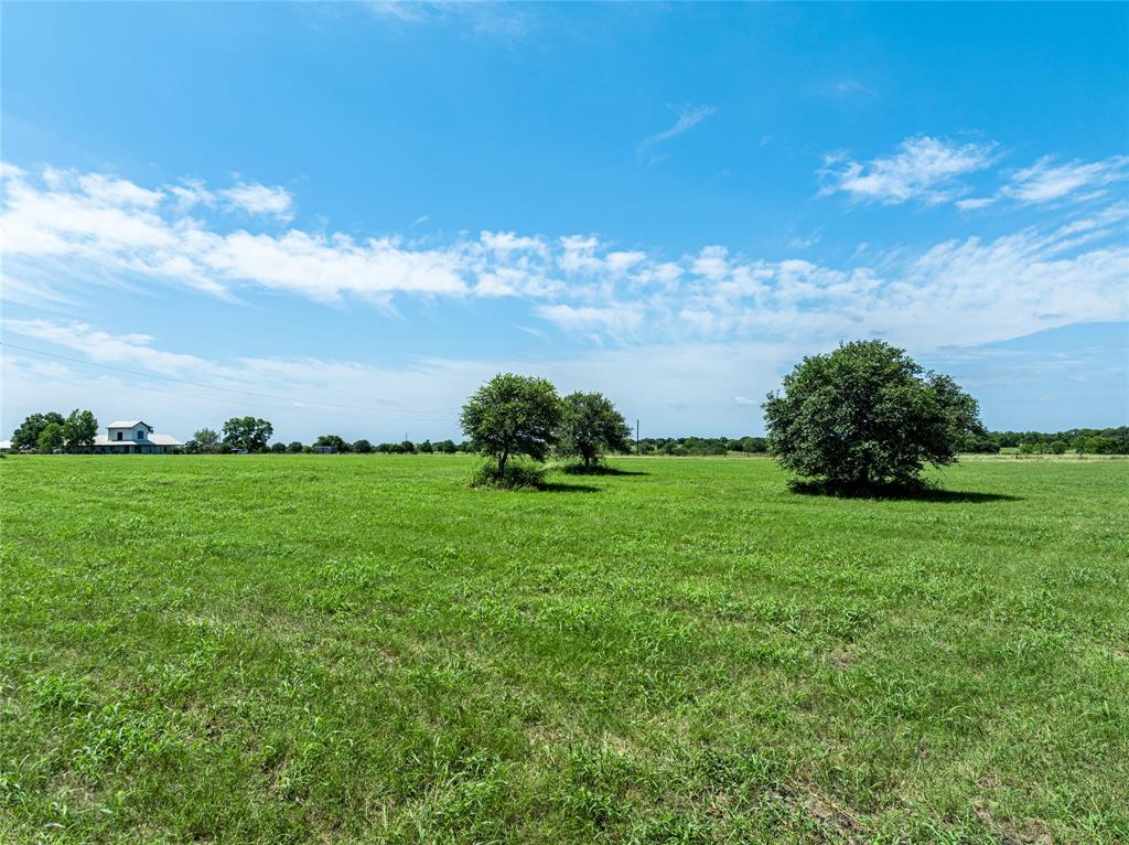 TBD Blossom Hill Road, Round Top, Texas image 3