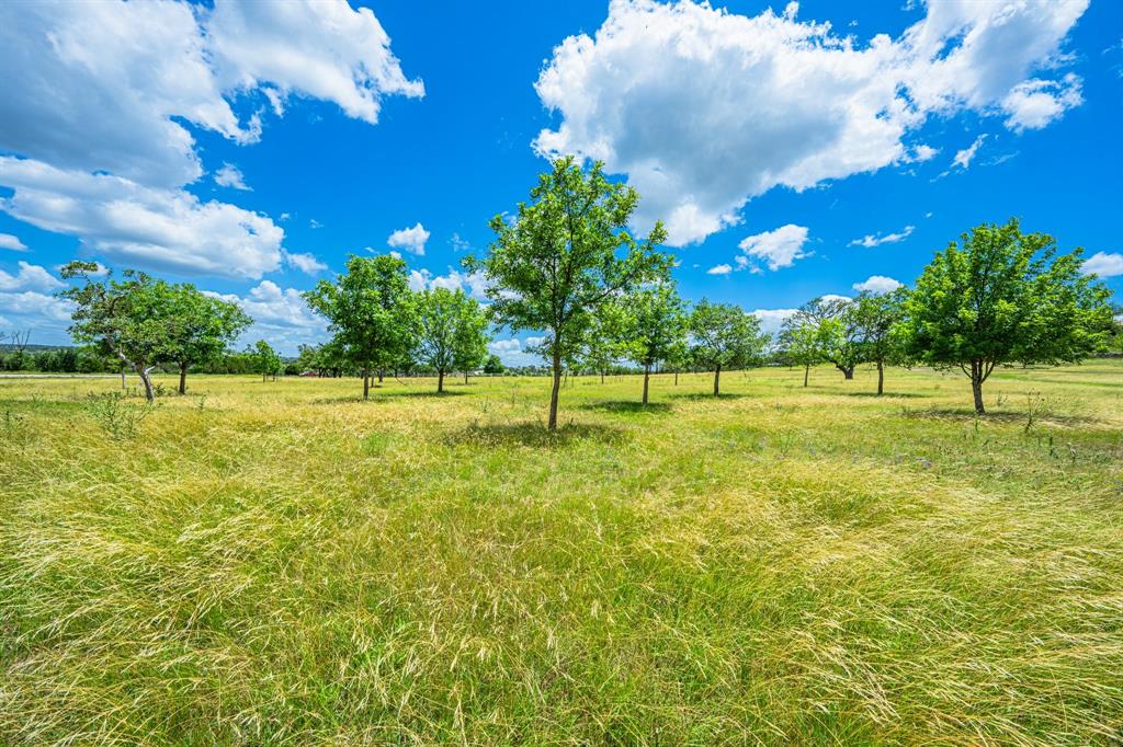 7158 S Us Highway 87, Fredericksburg, Texas image 17