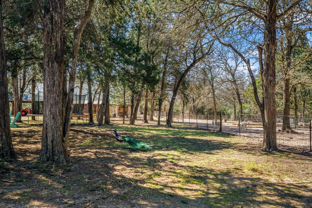 1760 County Road 215, Weimar, Texas image 36