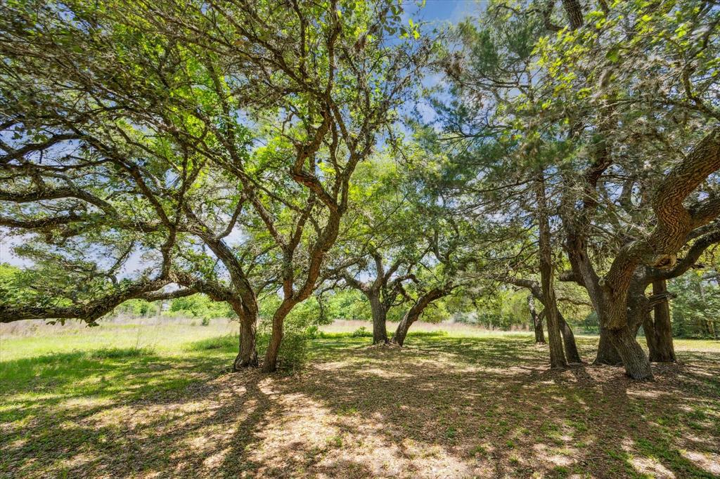 12227 Frantz Road, Cat Spring, Texas image 11