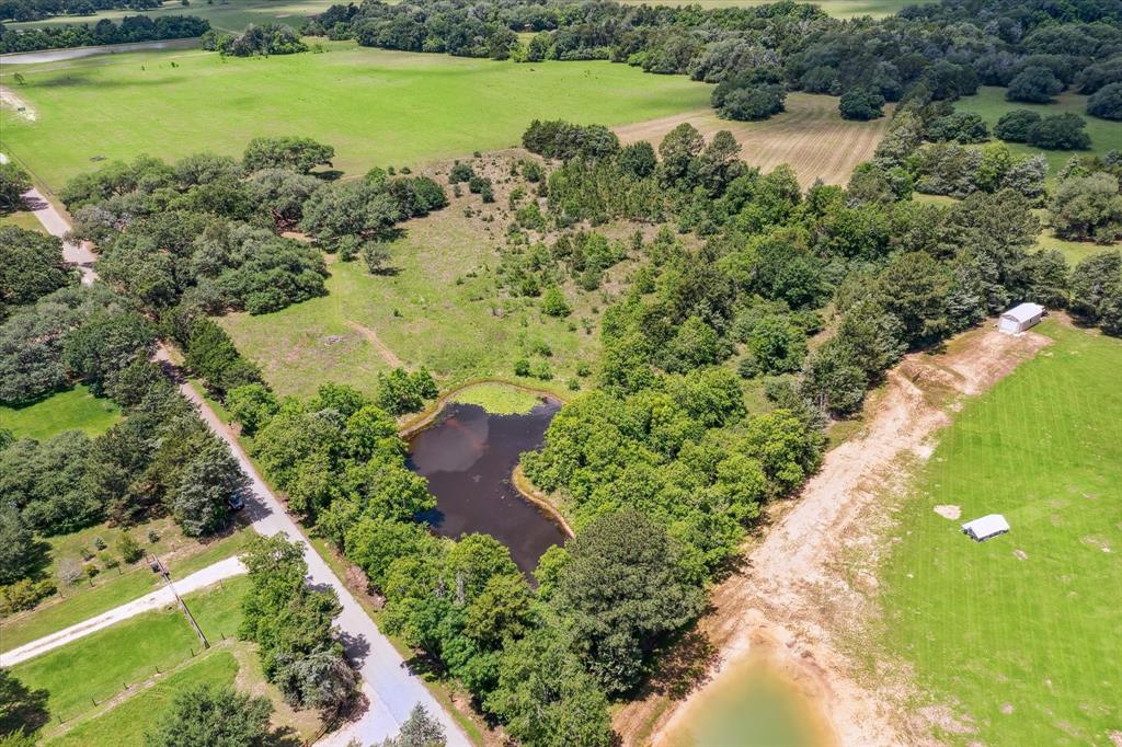 12227 Frantz Road, Cat Spring, Texas image 14