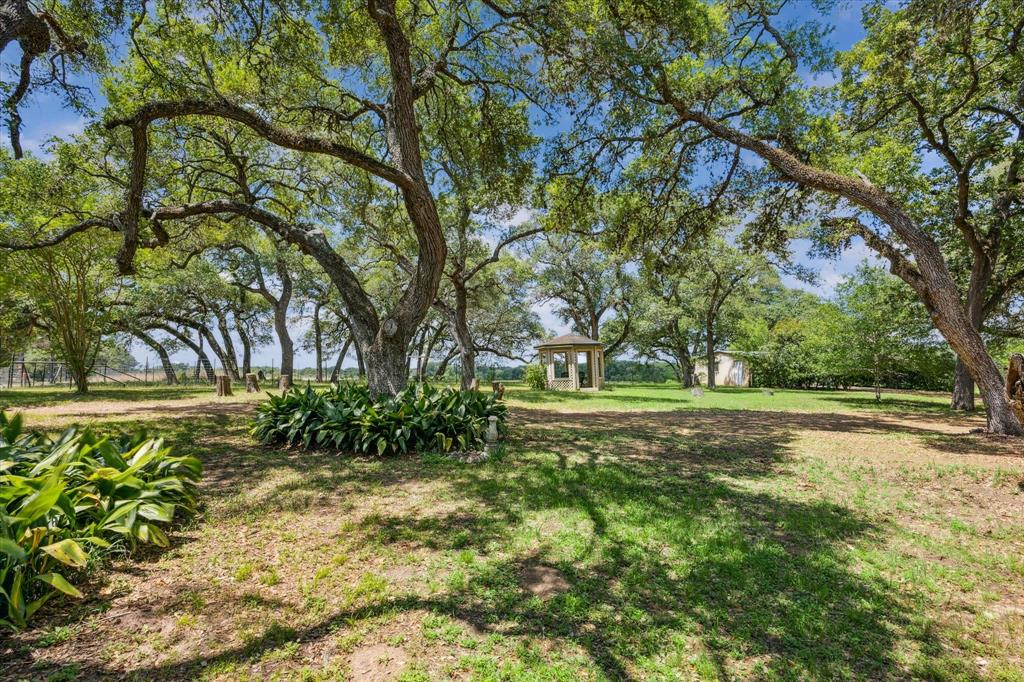 12227 Frantz Road, Cat Spring, Texas image 10