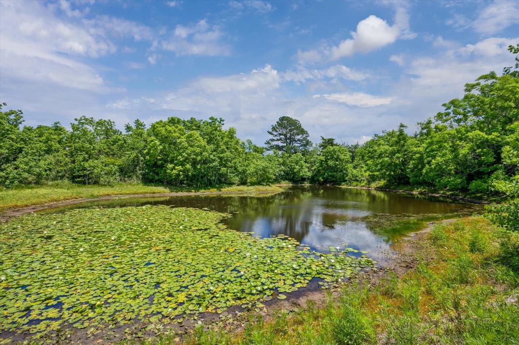 12227 Frantz Road, Cat Spring, Texas image 13