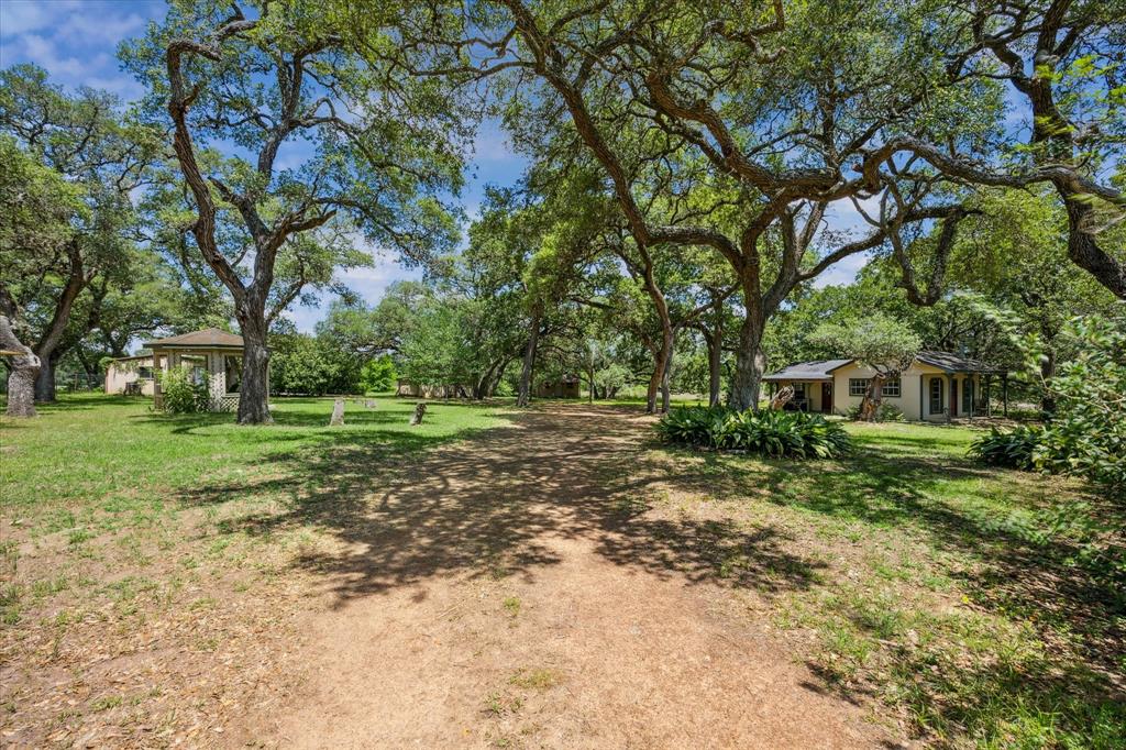 12227 Frantz Road, Cat Spring, Texas image 9