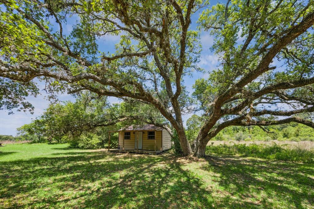 12227 Frantz Road, Cat Spring, Texas image 12