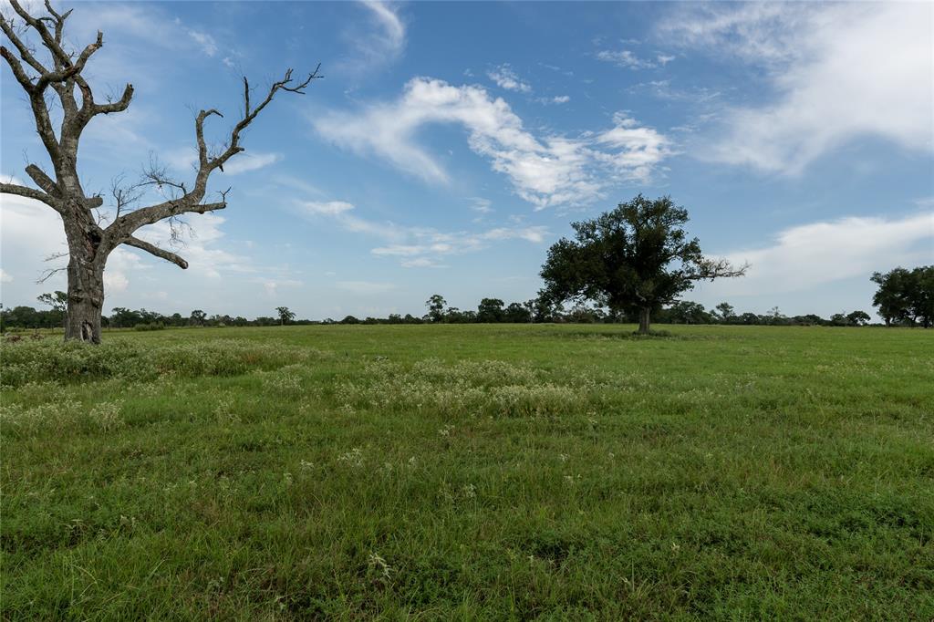 000 Aztec Lane, New Ulm, Texas image 12